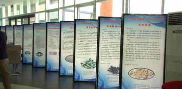 吉林省醫(yī)藥健康產(chǎn)業(yè)科技成果對(duì)接會(huì)圓滿(mǎn)落幕，科技中介服務(wù)賦能產(chǎn)業(yè)創(chuàng)新